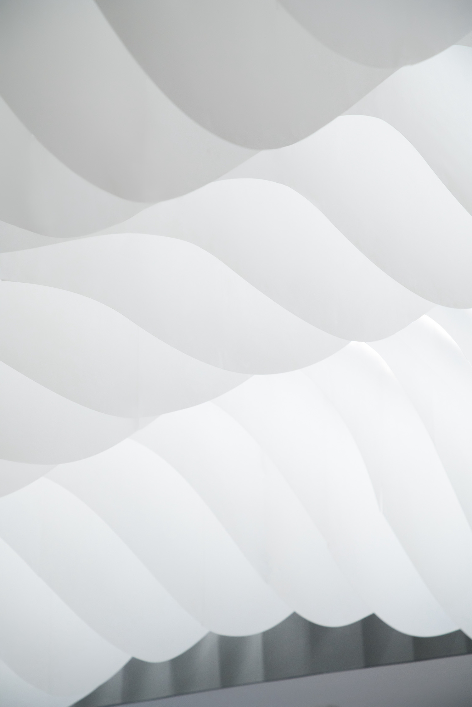 1562726097120958.jpg 6.jpg